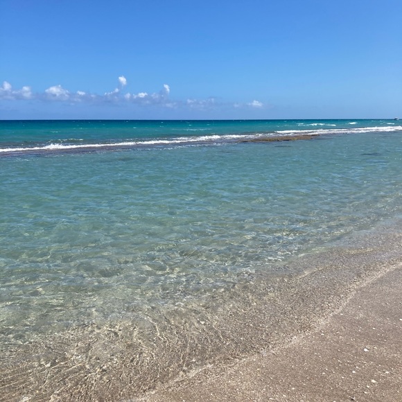 Meet your Posher, Erika - Picture 1 of 1